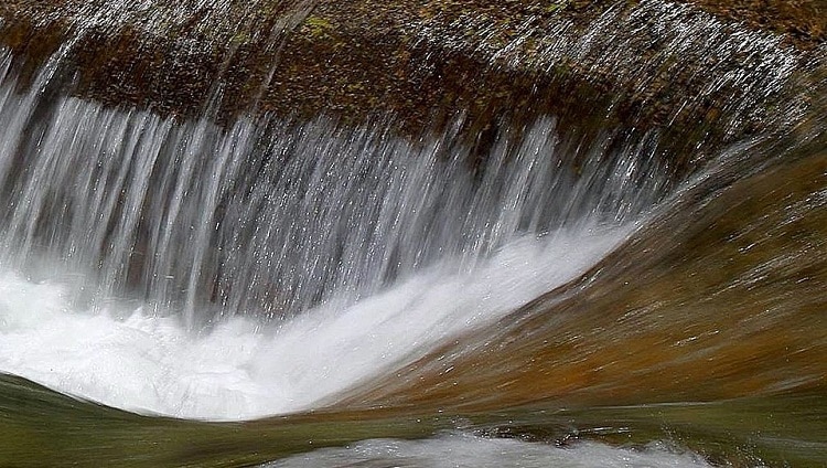 Supervivencia Corriente De Agua
