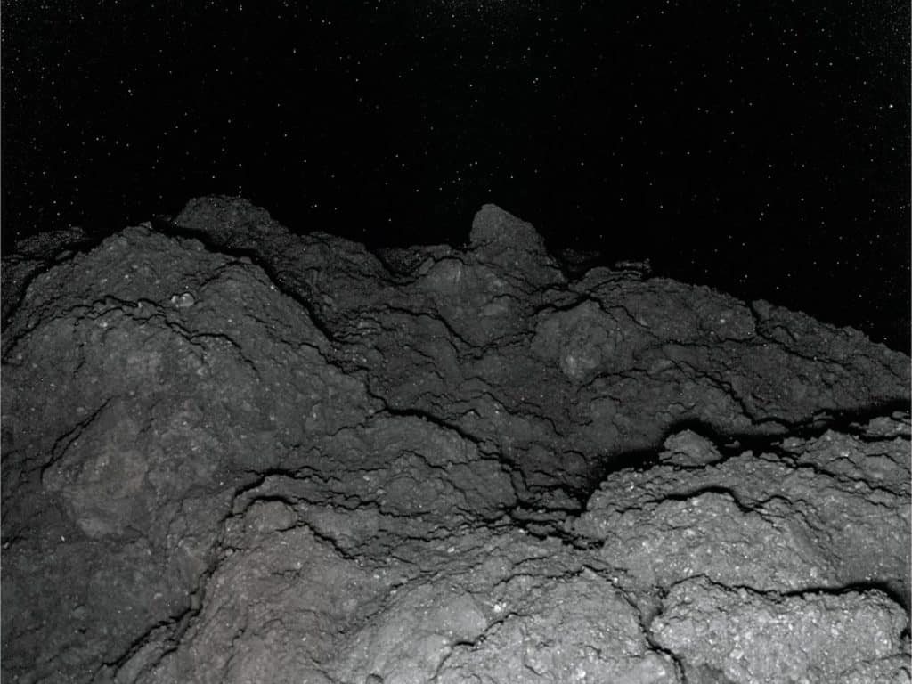 La Prueba De Que La Vida Aparece En Cualquier Lugar Del Universo