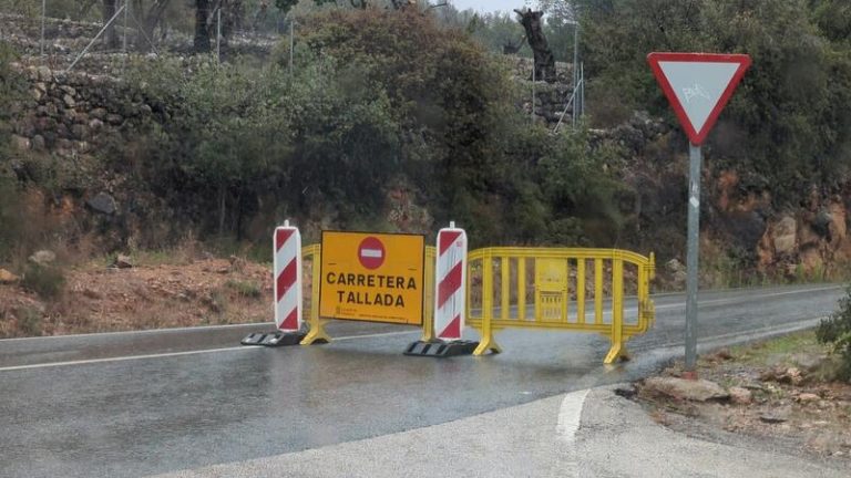 Seis carreteras de Mallorca continúan con cortes por nieve y árboles caídos por la borrasca Juliette