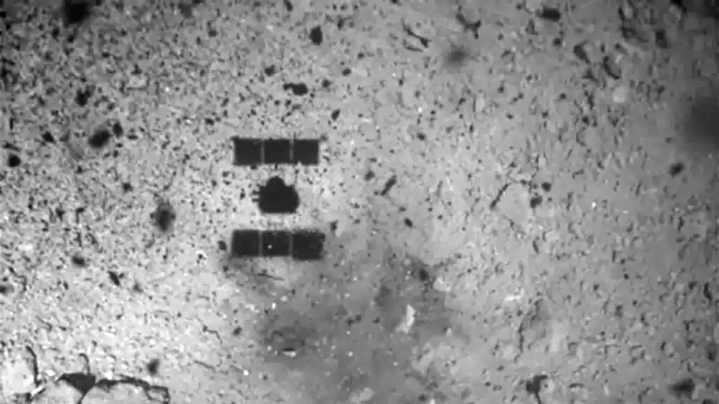 La Prueba De Que La Vida Aparece En Cualquier Lugar Del Universo
