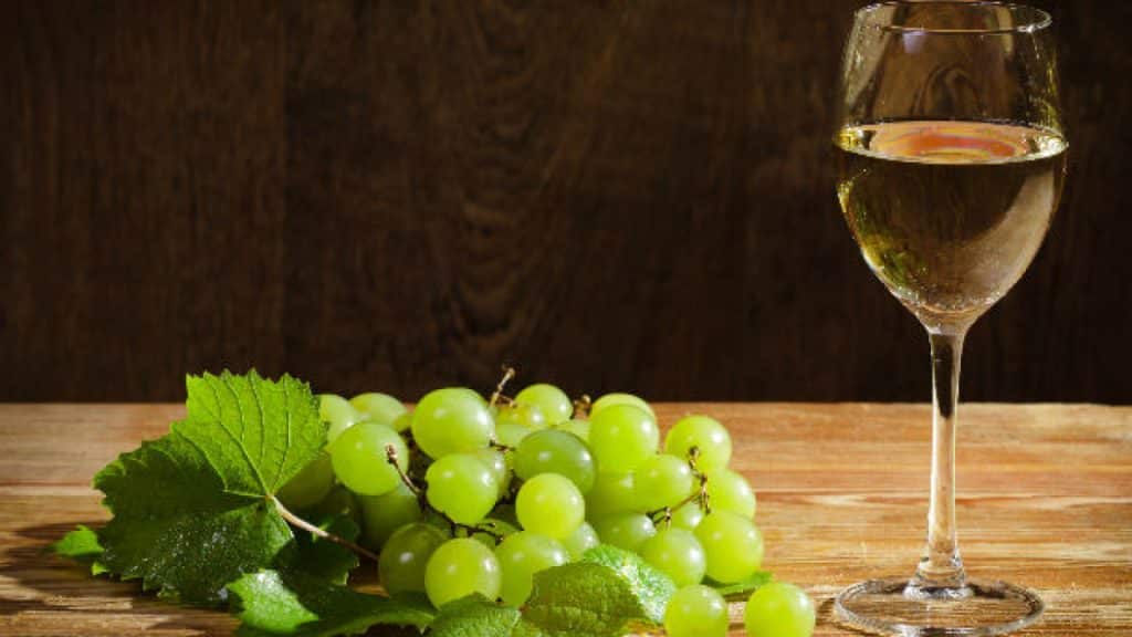 Langostinos Al Ajillo: La Receta De Arguiñano Que Enamora A Los Grandes Chefs 84 Langostinos Al Ajillo: La Receta De Arguiñano Que Enamora A Los Grandes Chefs