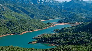 ¿Cuál es el bosque más antiguo de España?