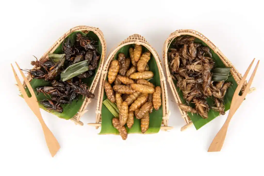 Alcampo Promociona Un Alimento Saludable Que Lleva Insectos: &Quot;Son Una Gentuza&Quot; 56 ¿Qué Dicen Las Organizaciones Al Respecto?