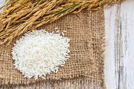 ¿Qué Es El Arroz?
