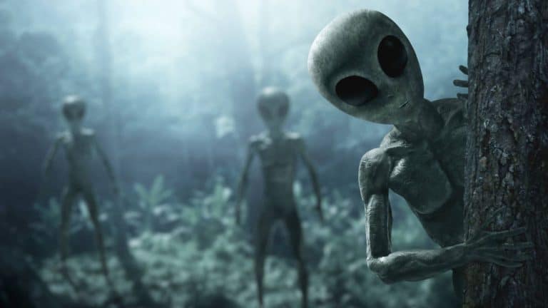 Decepción absoluta ante el «plantón» de los extraterrestres