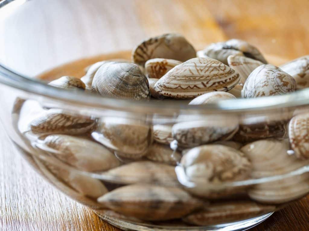 Almejas A La Marinera: Una Receta De Escándalo Con Un Sabor De ‘10’