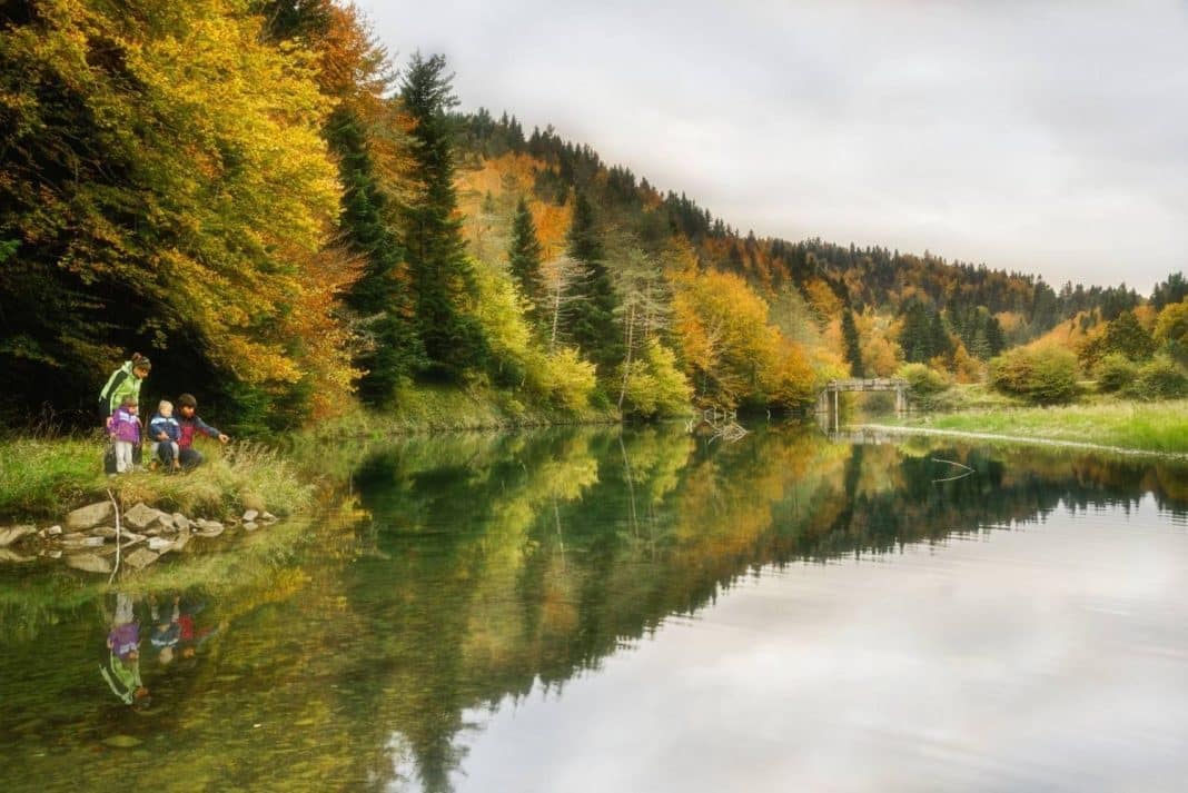 En segundo lugar, Navarra con Selva de Irati