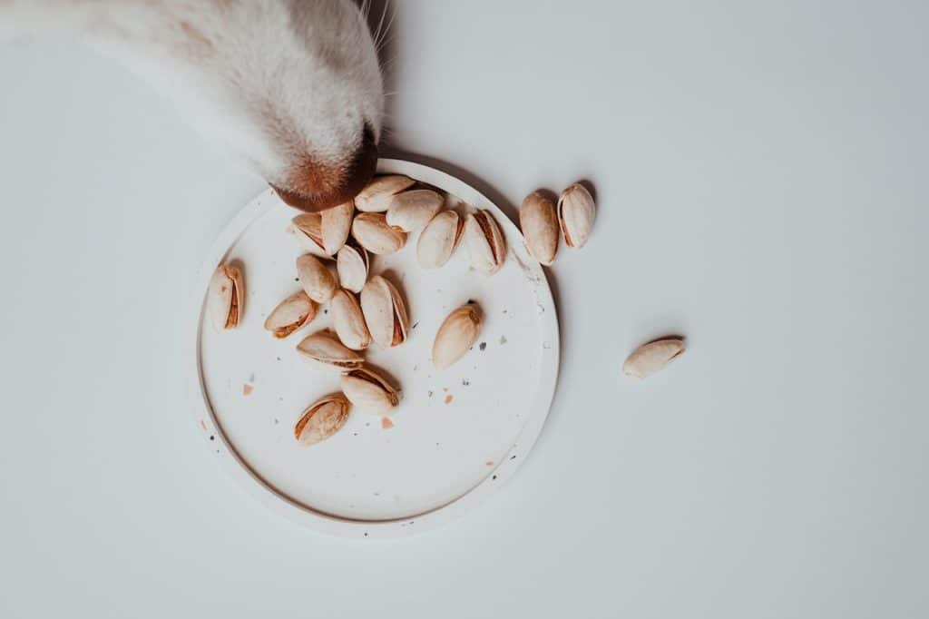 Es Bueno Para La Salud Intestinal