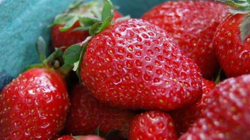 Las Fresas En Abril