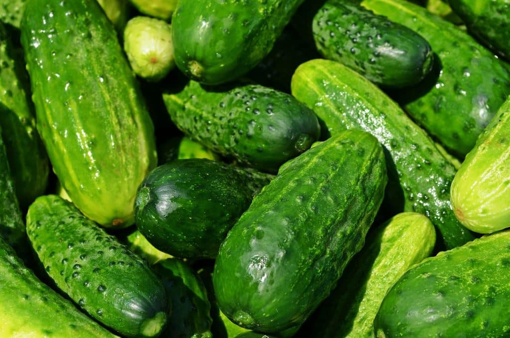 Los Pepinos
