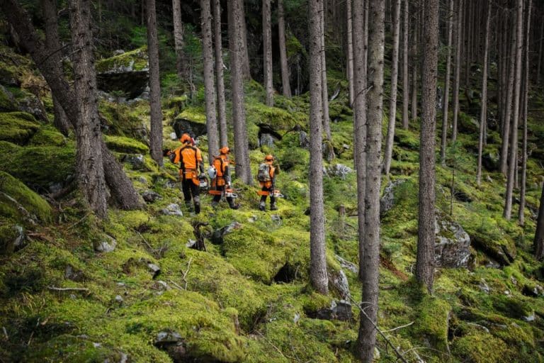 STIHL apuesta por la prevención en invierno como arma contra los incendios