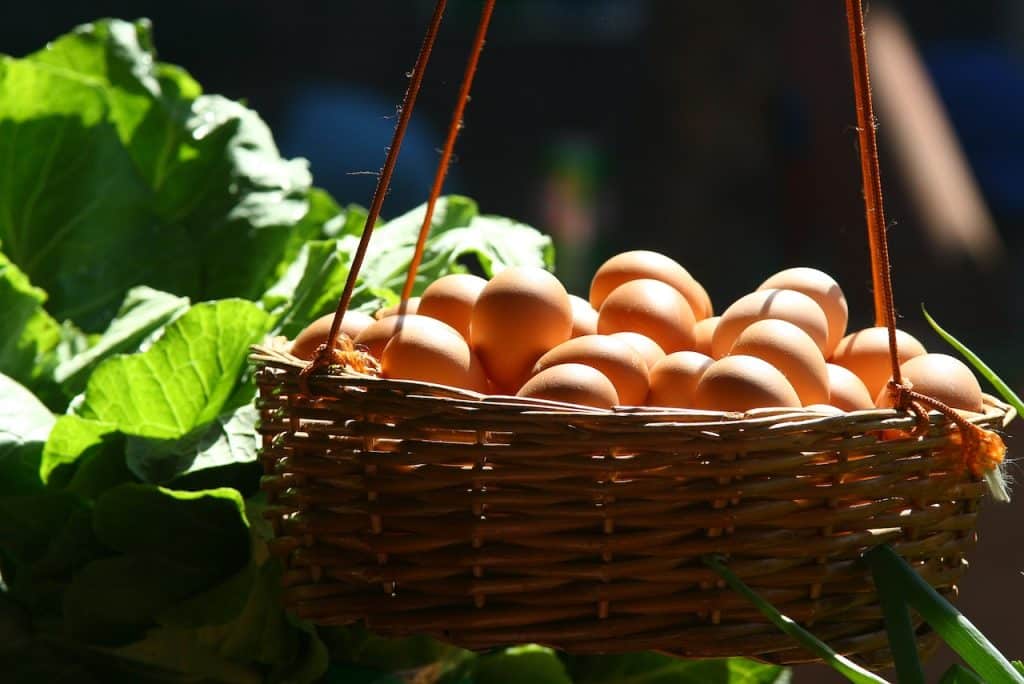 Huevos Para Cualquier Comida