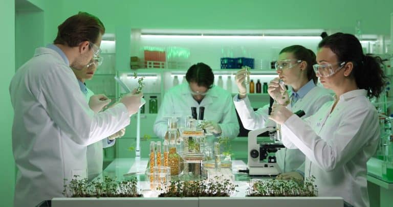 Green Life ofrece productos de cosmética anti-edad de alto rendimiento