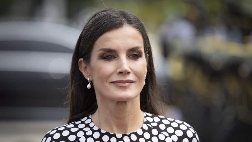 Las Ocupaciones Secretas De La Reina Letizia Al Margen De Felipe