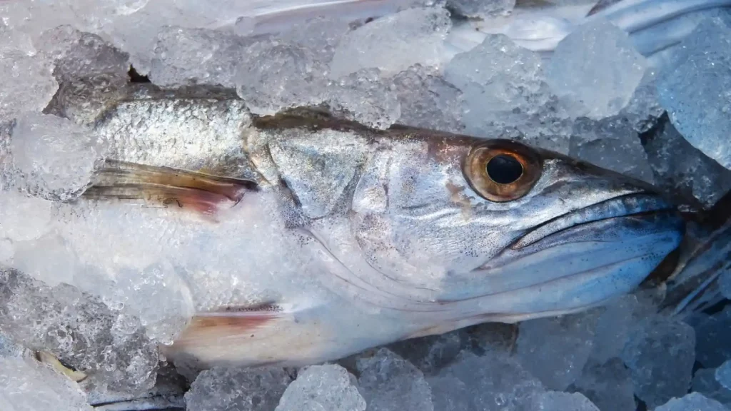 Contra La Inflación: Los Pescados Más Baratos, Ricos Y Nutritivos Para Recetas De Diez