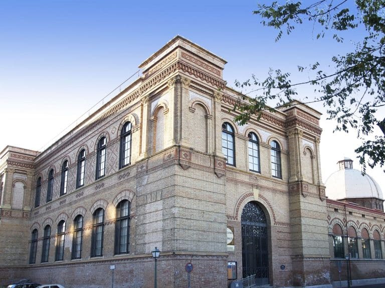 El MNCN permitirá la entrada a los perros los viernes