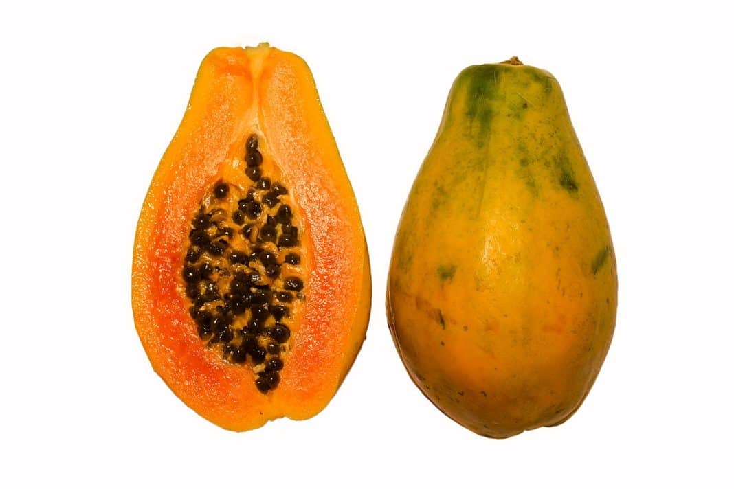 La papaya: Una fruta sin igual