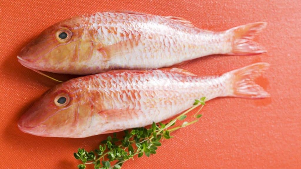 Contra La Inflación: Los Pescados Más Baratos, Ricos Y Nutritivos Para Recetas De Diez