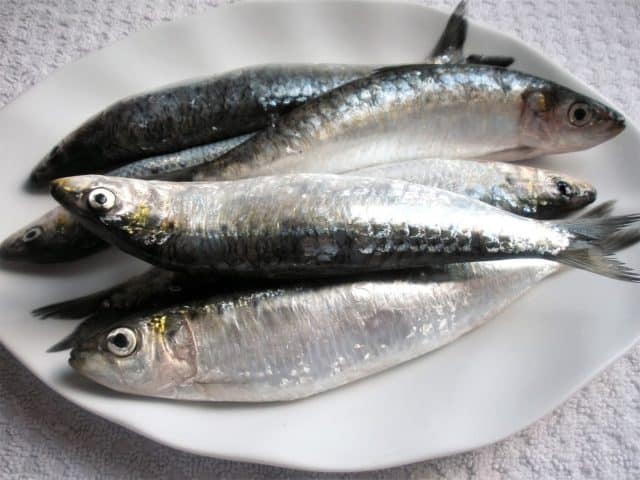 Cómo preparar sardinas en casa sin olor ni humo