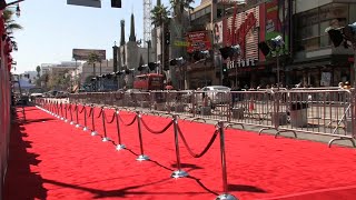 ¿Por qué la alfombra roja de los Oscars es de este color?