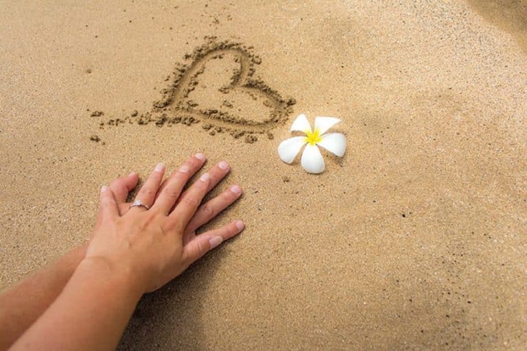 <strong>Anillos para regalar a tu pareja</strong>