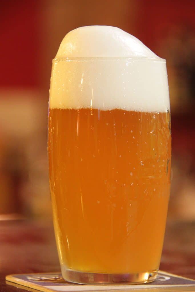 Cerveza