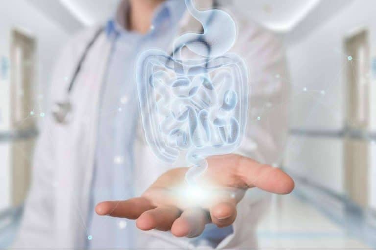 La microbiota, conocida como el segundo cerebro
