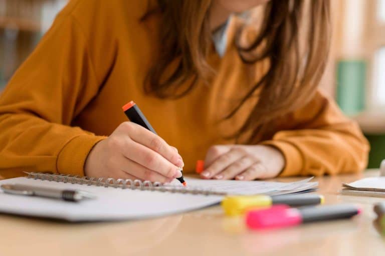 ¿Por qué ser profesor de francés se establece como una opción ideal?