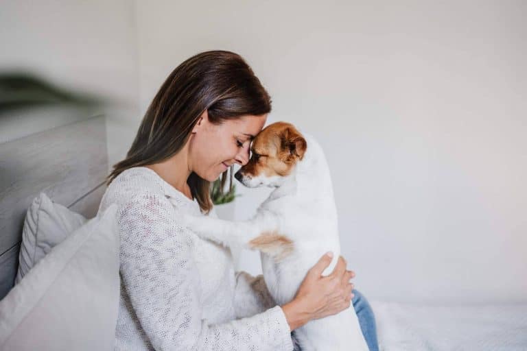 El Perro Feliz expone los beneficios de la sonoterapia en animales de compañía