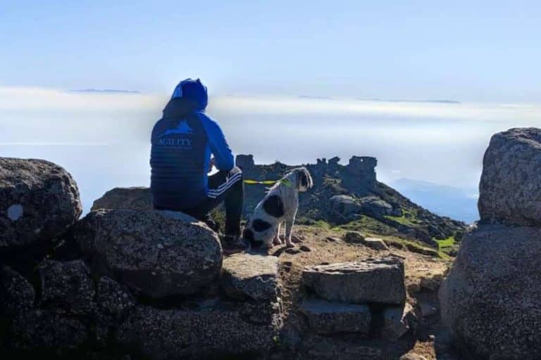 El nuevo curso de educación canina de los sábados de l’Almozara Can Bosc arrancó el pasado 11 de marzo