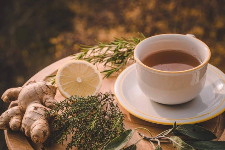 Cuidarse por dentro y por fuera con los productos de nutricosmética de Theriac Wellness
