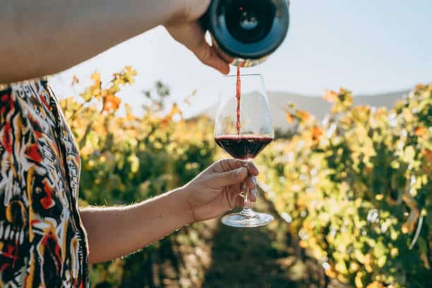 Variedad De Uva Del Vino Tinto