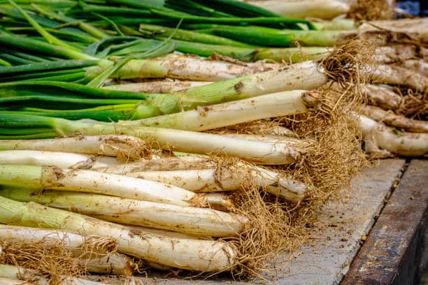 Origen De Los Calçots