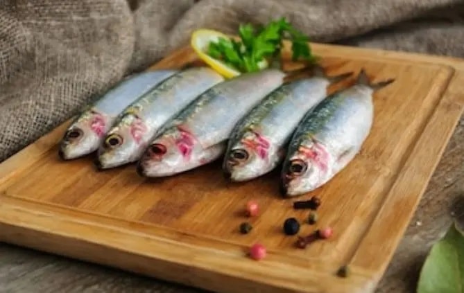 sardinas frescas