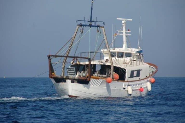 Andalucía seguirá «muy vigilante» con cada decisión de la UE sobre la pesca del arrastre