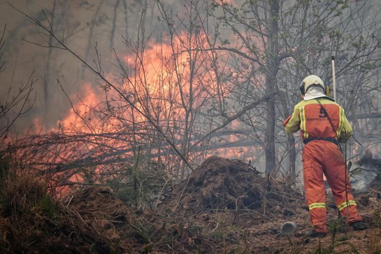 Ecologistas aseguran que tras buena parte de los fuegos está, una vez más, la regeneración de pastos