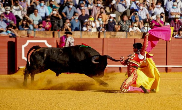 PACMA propone prohibir la entrada y participación de menores en espectáculos taurinos