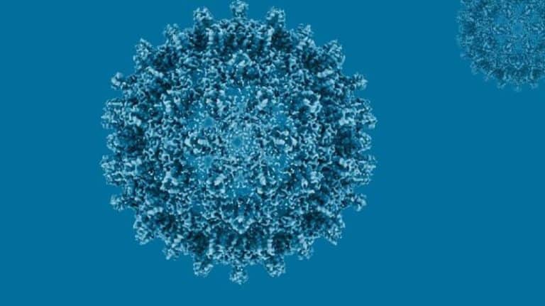 Europa se «acerca» a la eliminación de la hepatitis B como problema de salud pública, según la OMS