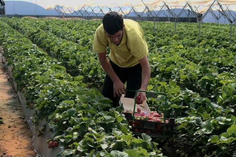 Migraciones, Tragsa y ONG firman un protocolo para facilitar el acceso al mercado laboral de los migrantes