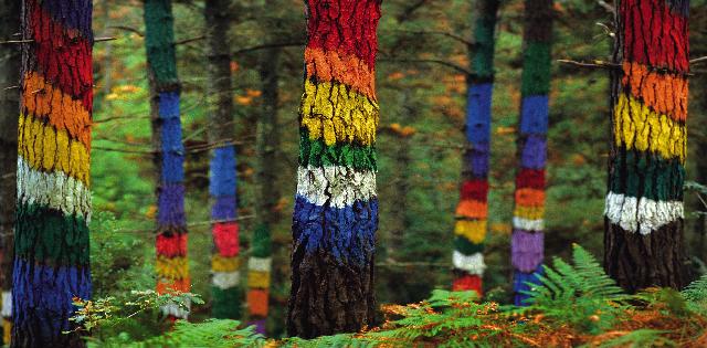 El Bosque Pintado De Oma Ibarrola (Vizcaya)