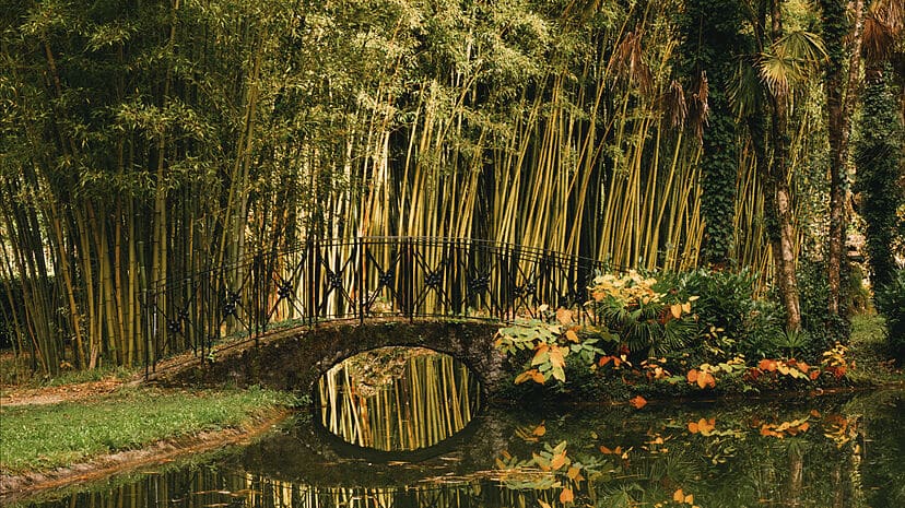 Las Leyendas De Los Bosques De La Comarca Del Baztán (Navarra)