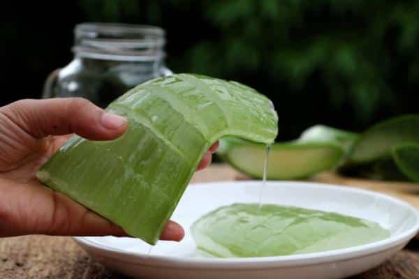 Aplicar gel de aloe vera