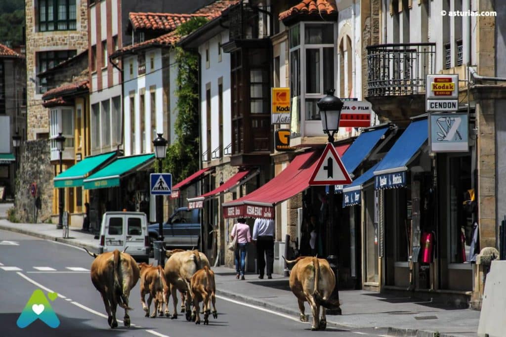 Bulnes Y Arenas De Cabrales