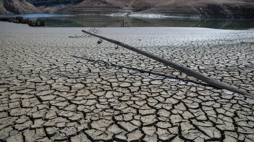 Jorge Rey Predice Cuándo Terminará La Sequía En España