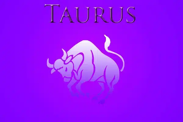 ¿Cómo Son Los Tauro En La Cama?