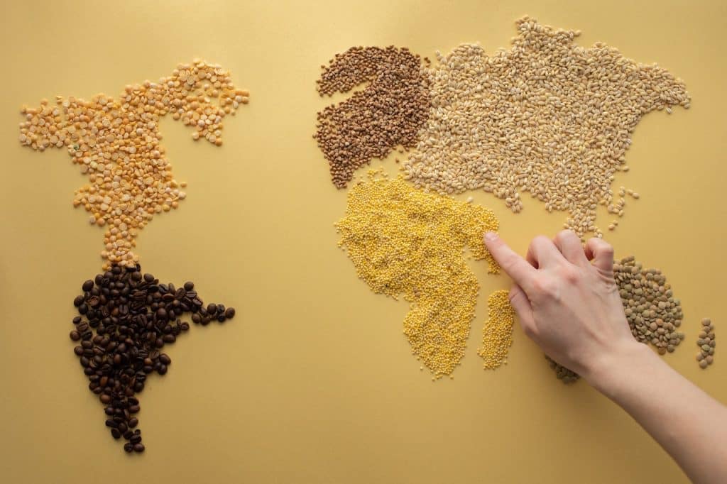 Ingredientes Que Necesitas Para Hacer Las Lentejas