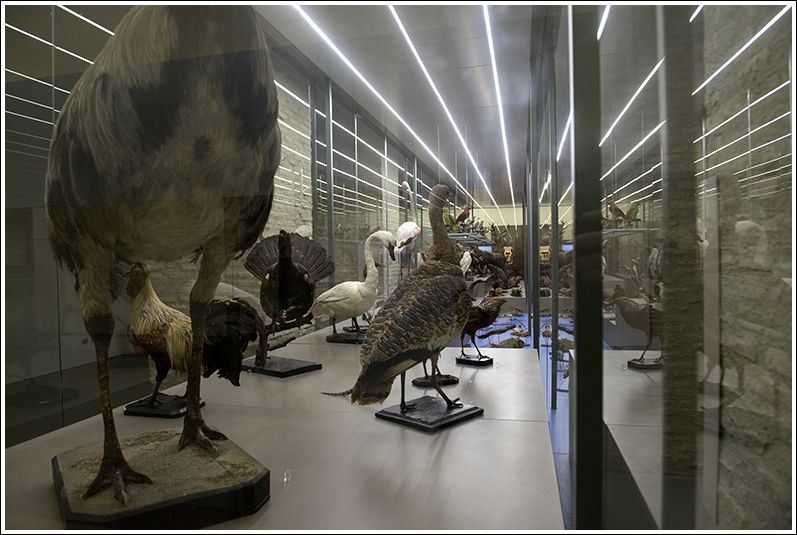 Museo De Ciencias Naturales De Zaragoza