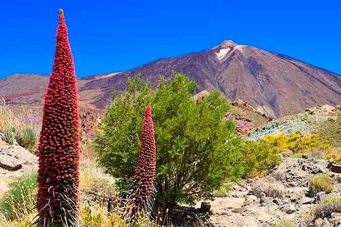 Parque Nacional Del Teide, En Tenerife
