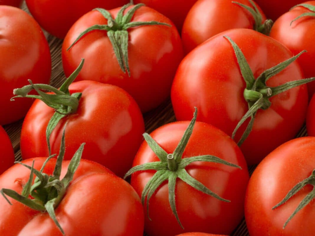 Utiliza tomates maduros