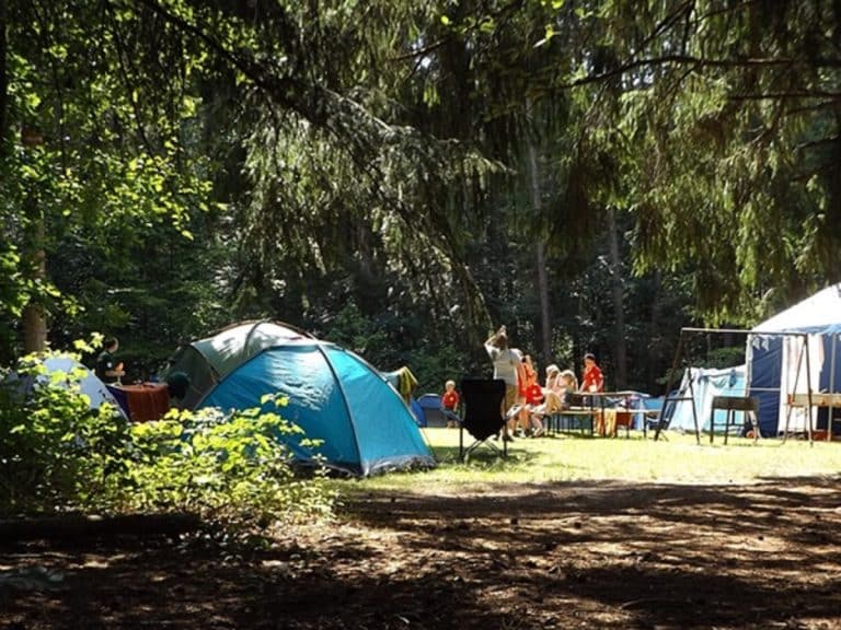 La importancia de contratar seguros para los campamentos de verano